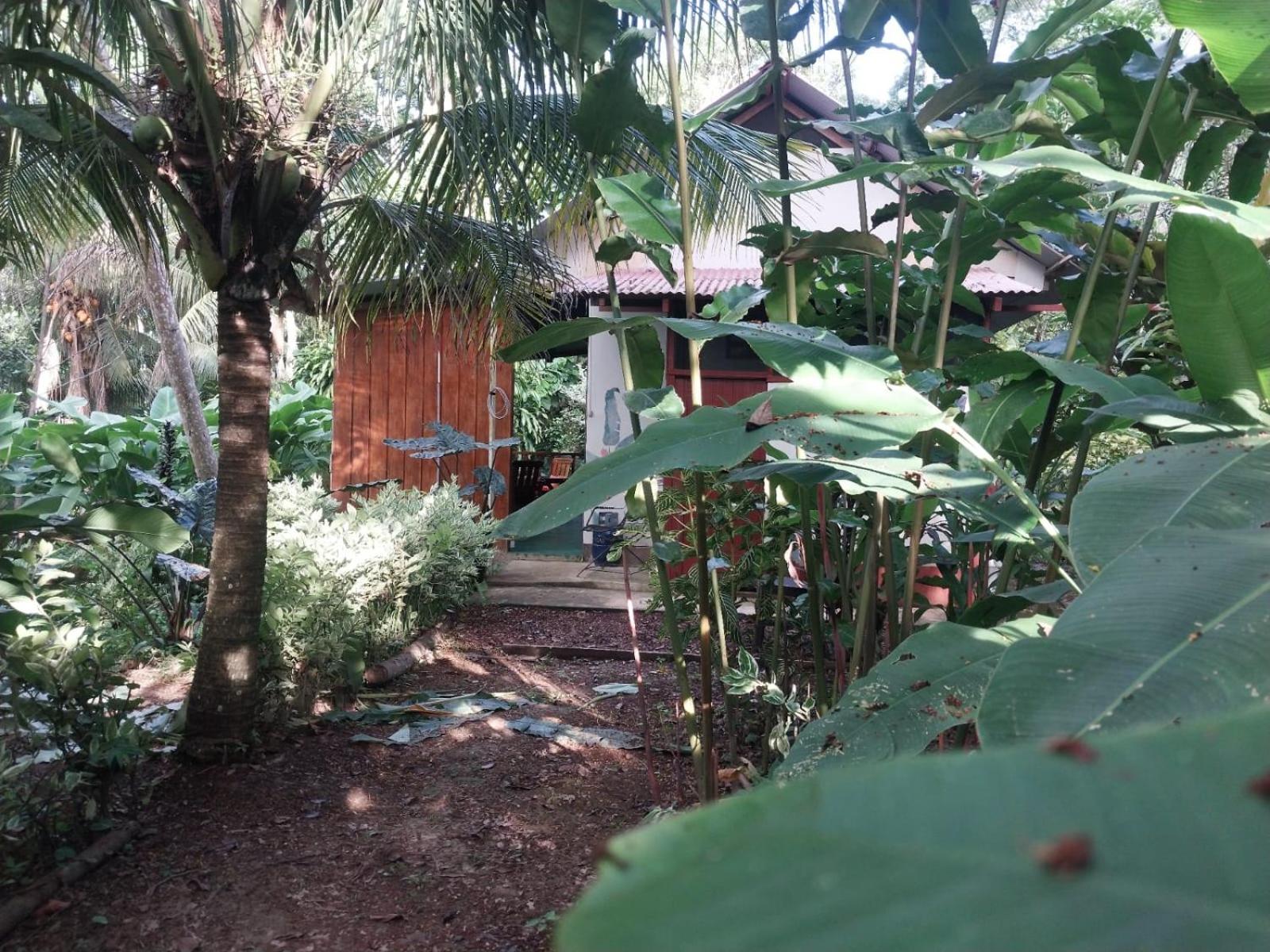 Jardin De Las Musas Puerto Maldonado Zimmer foto
