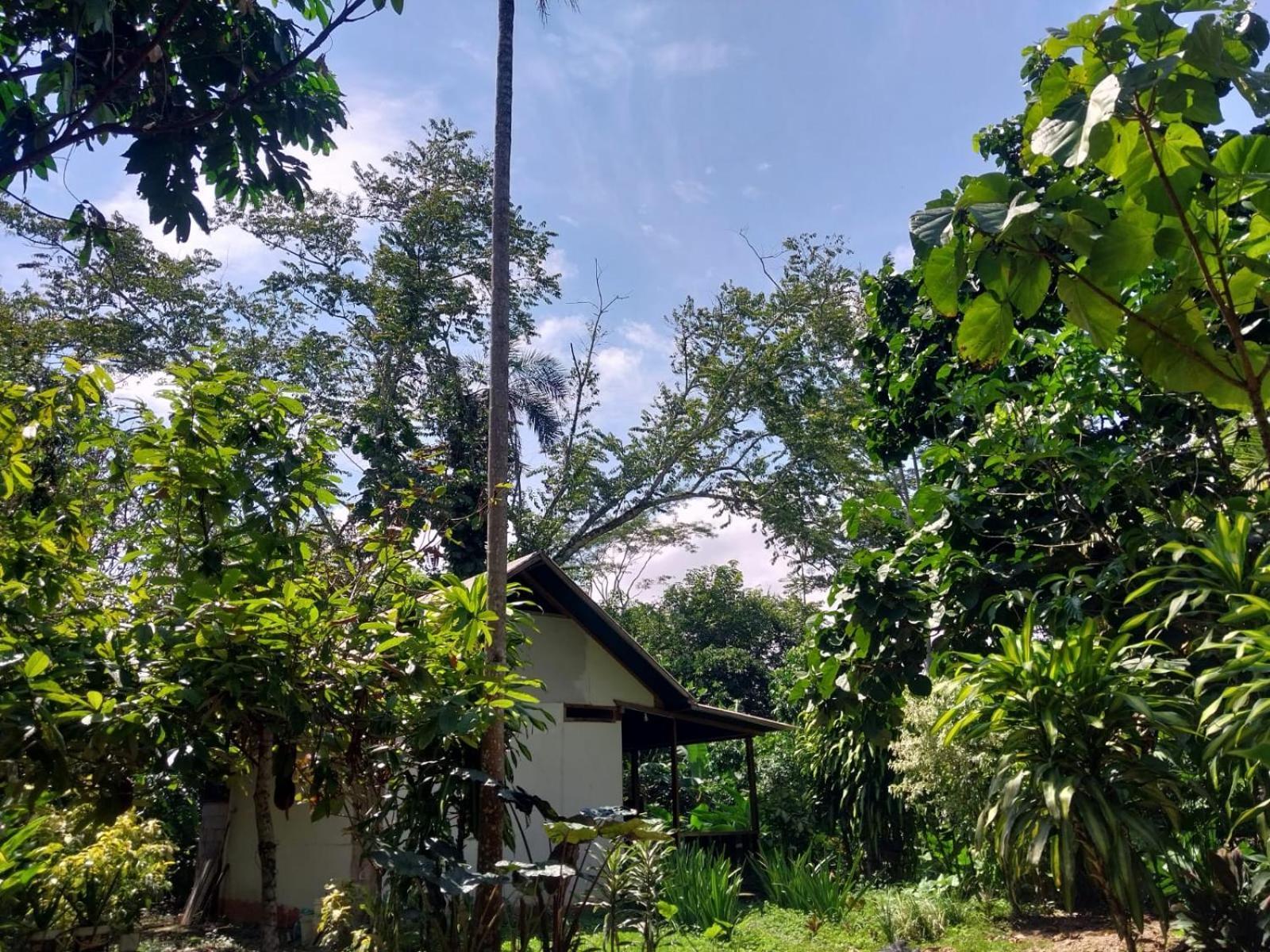 Jardin De Las Musas Puerto Maldonado Zimmer foto