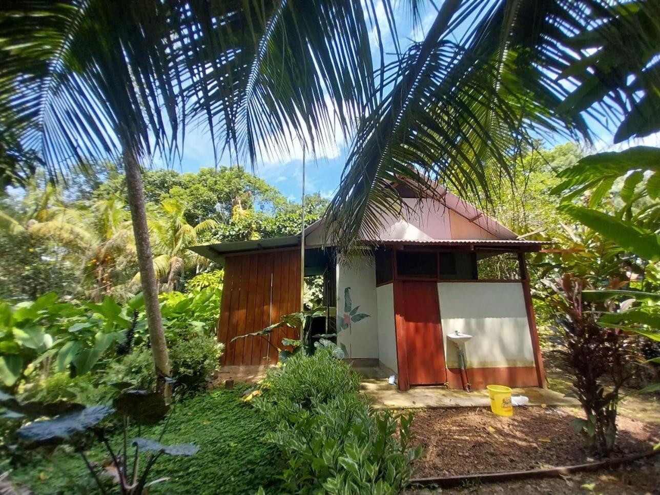 Jardin De Las Musas Puerto Maldonado Zimmer foto