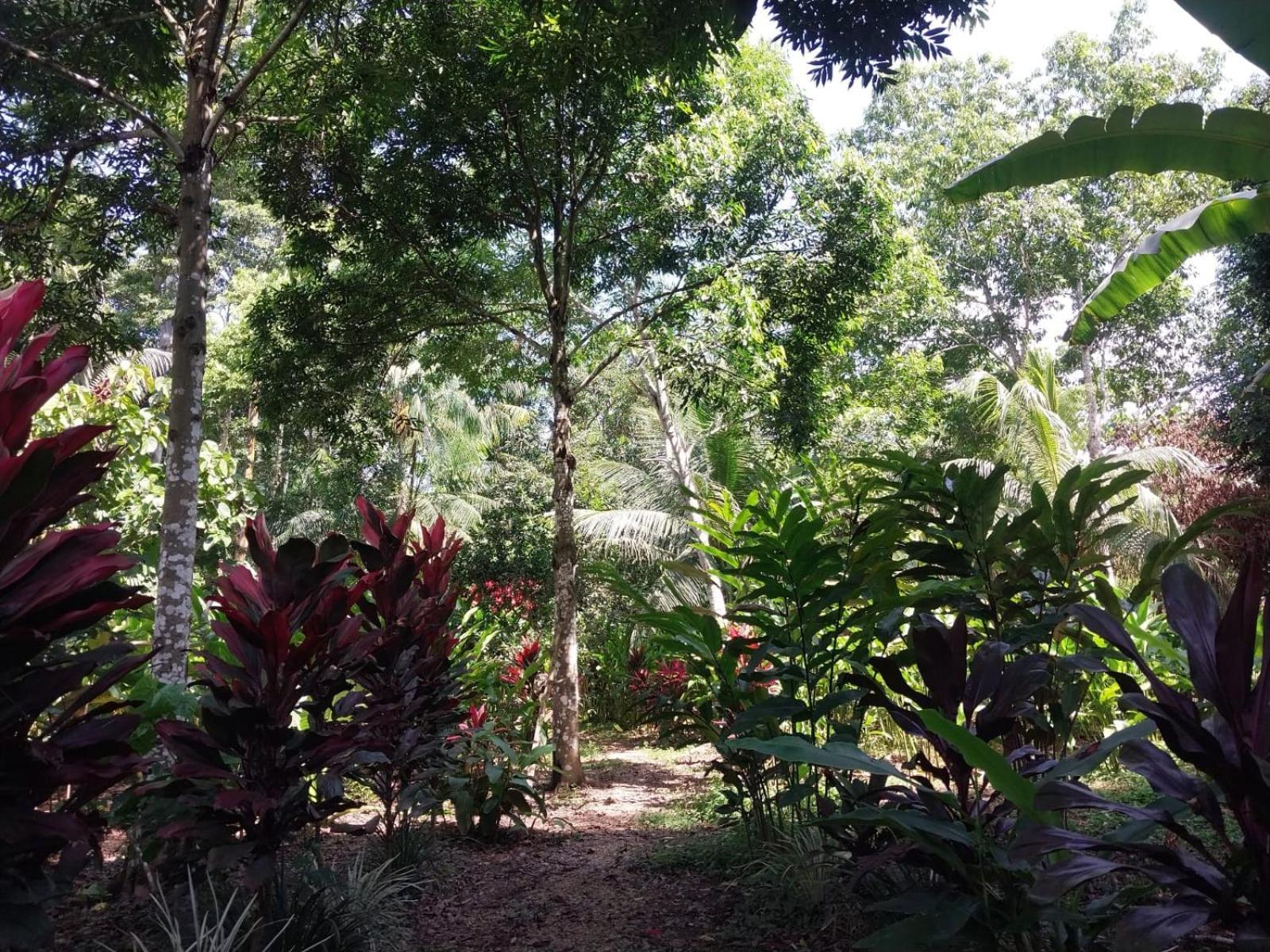 Jardin De Las Musas Puerto Maldonado Exterior foto