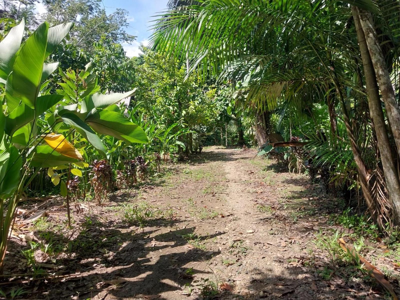 Jardin De Las Musas Puerto Maldonado Zimmer foto