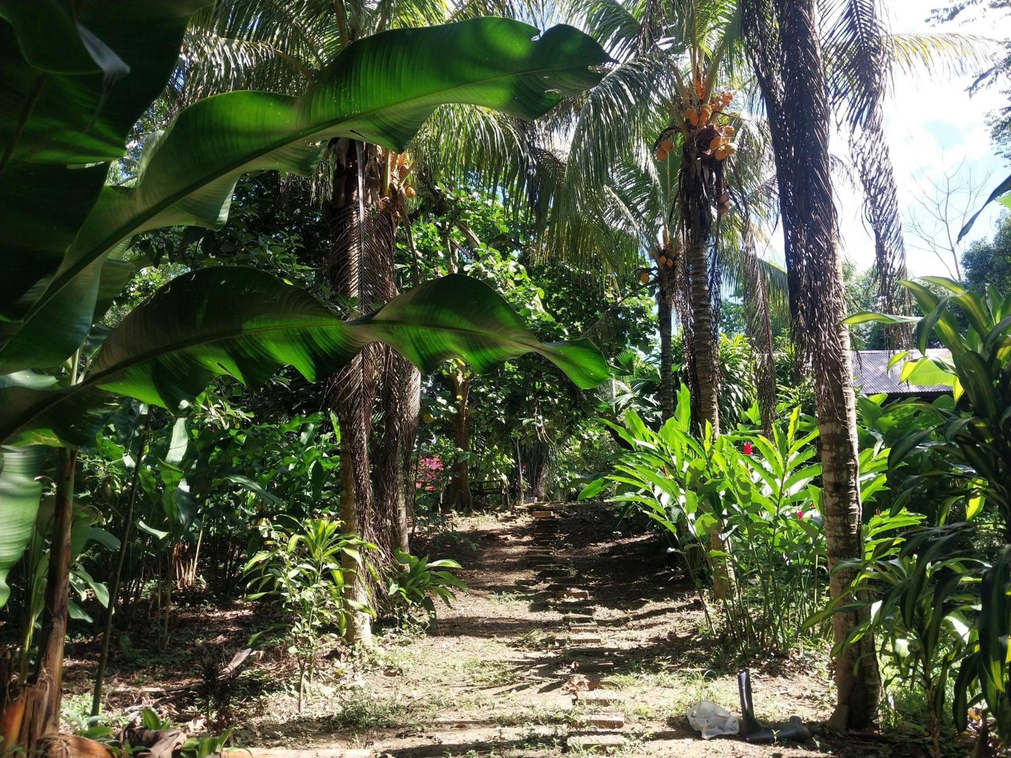 Jardin De Las Musas Puerto Maldonado Exterior foto
