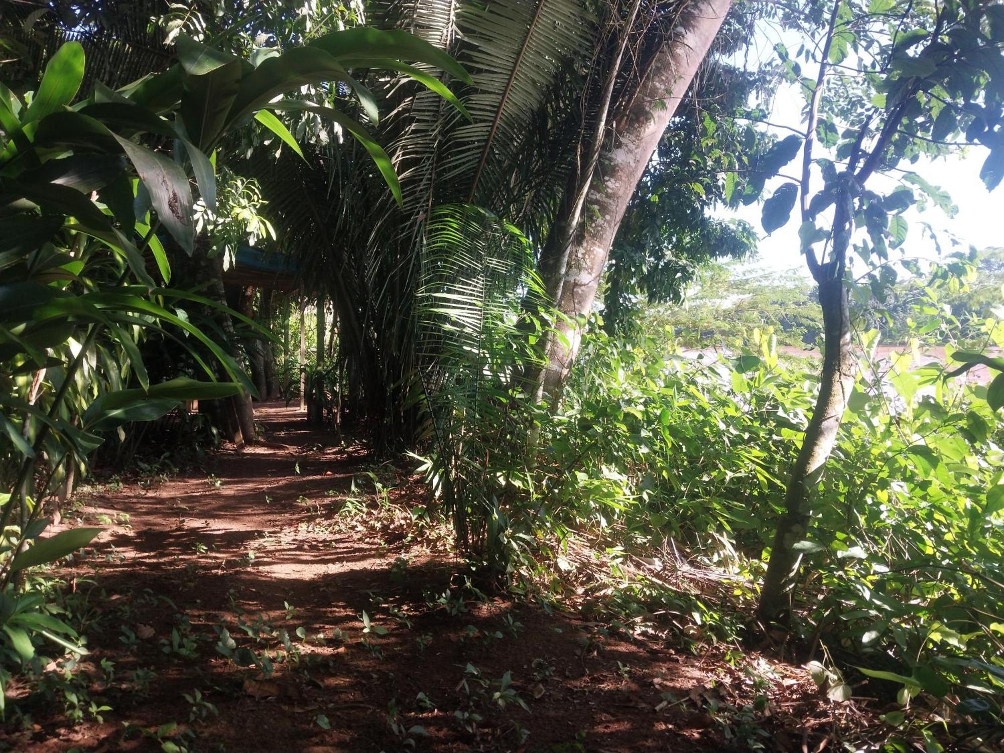 Jardin De Las Musas Puerto Maldonado Zimmer foto